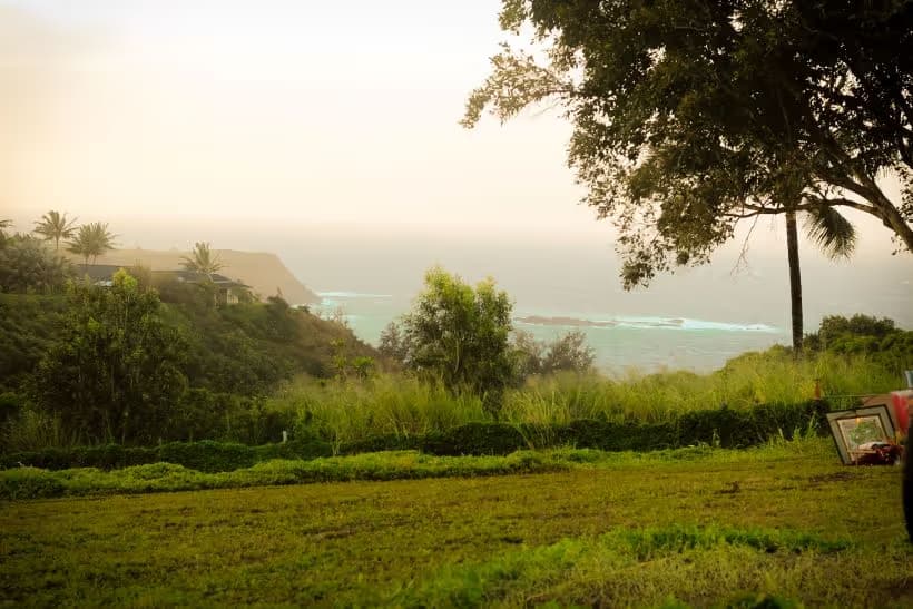 Luna Farms venue view