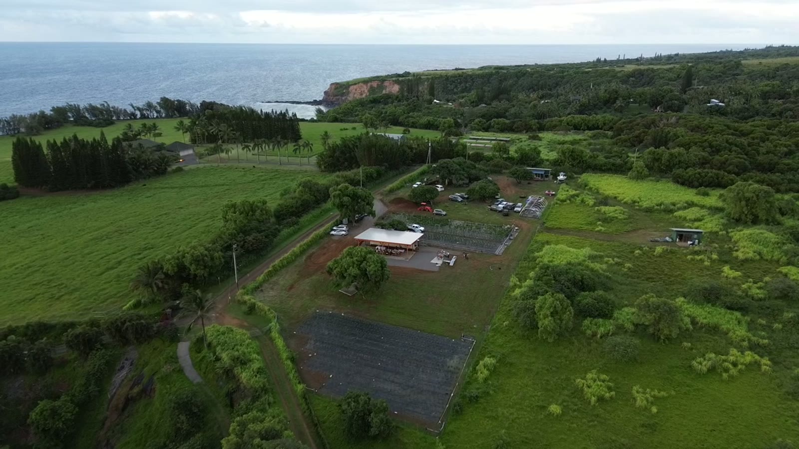 Wide aerial of Luna Farms with ocean cliffs in the distance