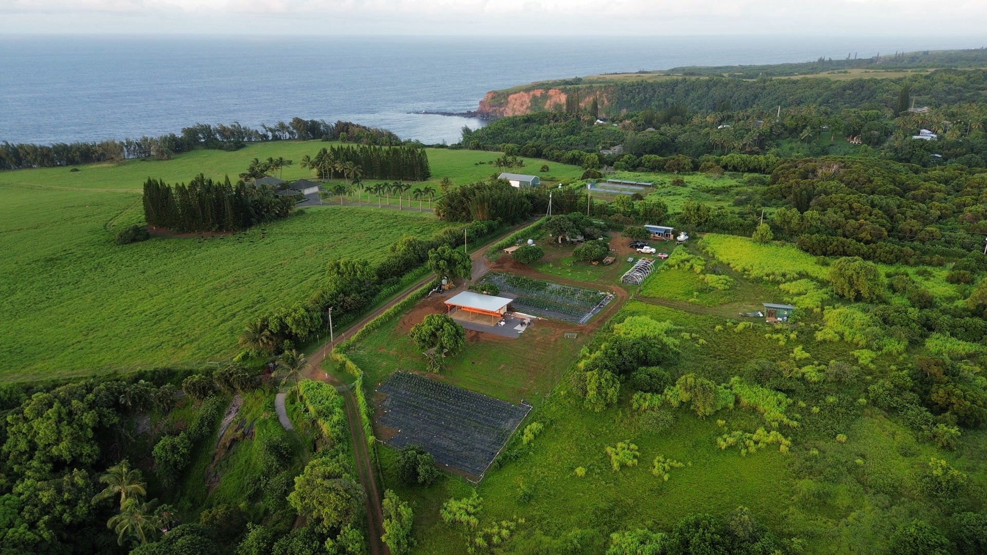 Aerial view of Luna Farms with the ocean in the distance