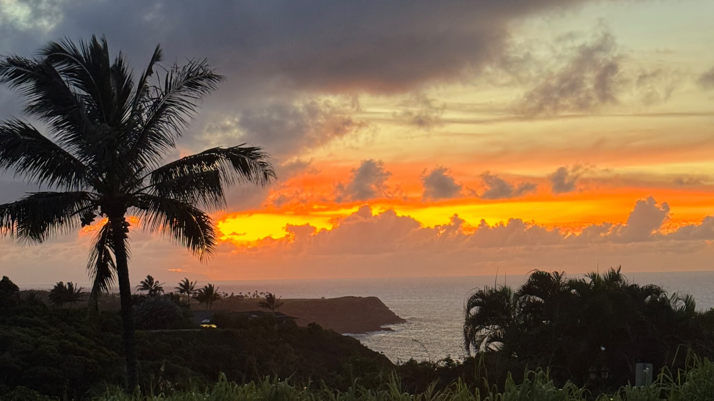 Sunset over the Pacific from Luna Farms, a palm silhouetted against orange sky above the north-shore coastline